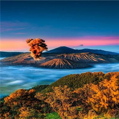 叉叉云游免root版下载