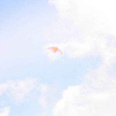 迷你城市公主城堡手游下载安装