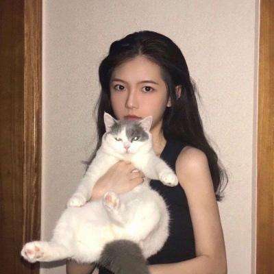 西部传奇破解版下载